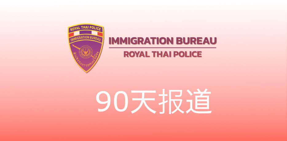 90天报道